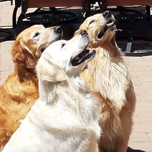 Meet your Posher, Kellie